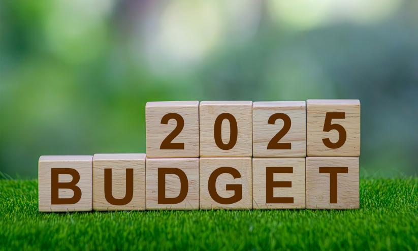 2025 Budget